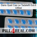 Dans Quel Cas Le Tadalafil Est-Il Utilisé 23